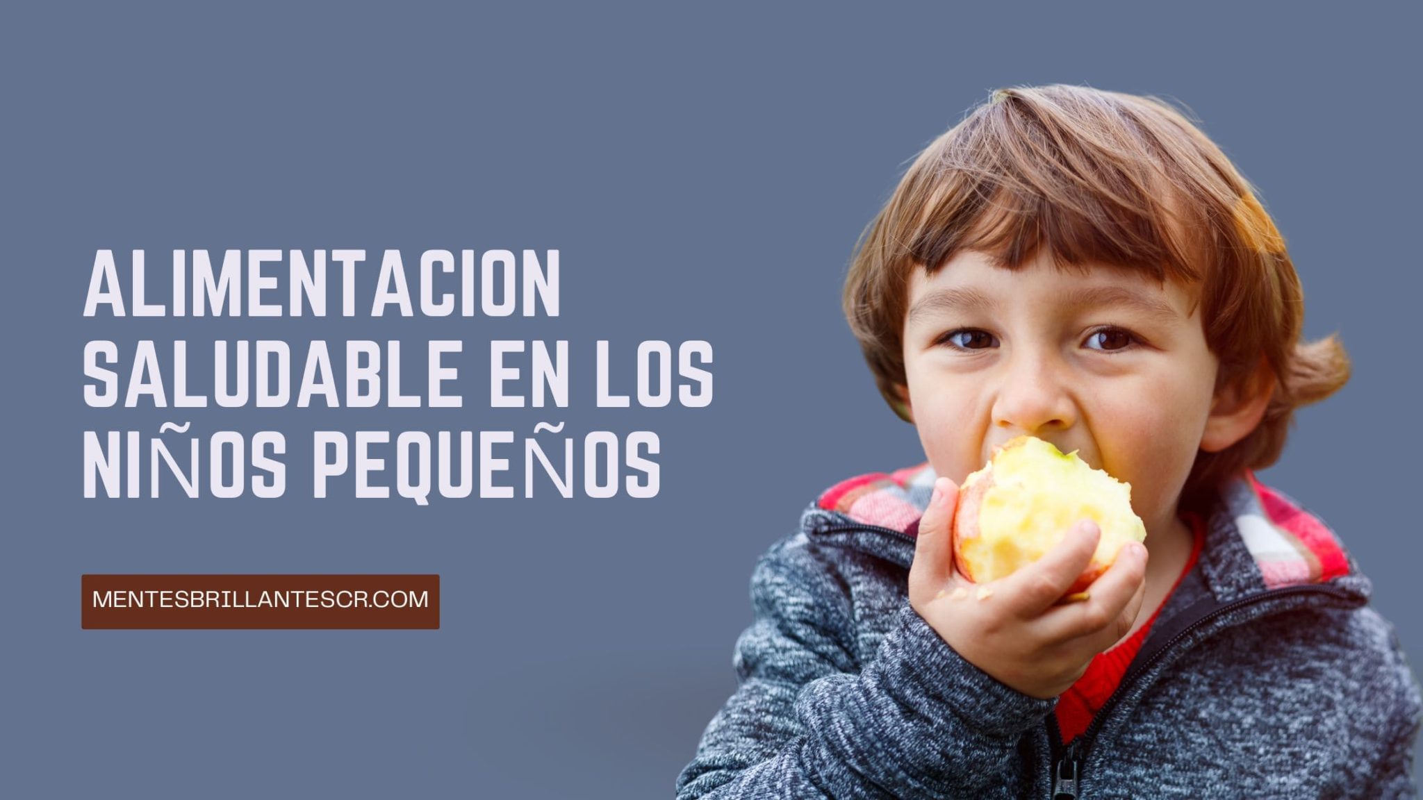 Alimentación Saludable Para Niños Pequeños Mentes Brillantes 2088